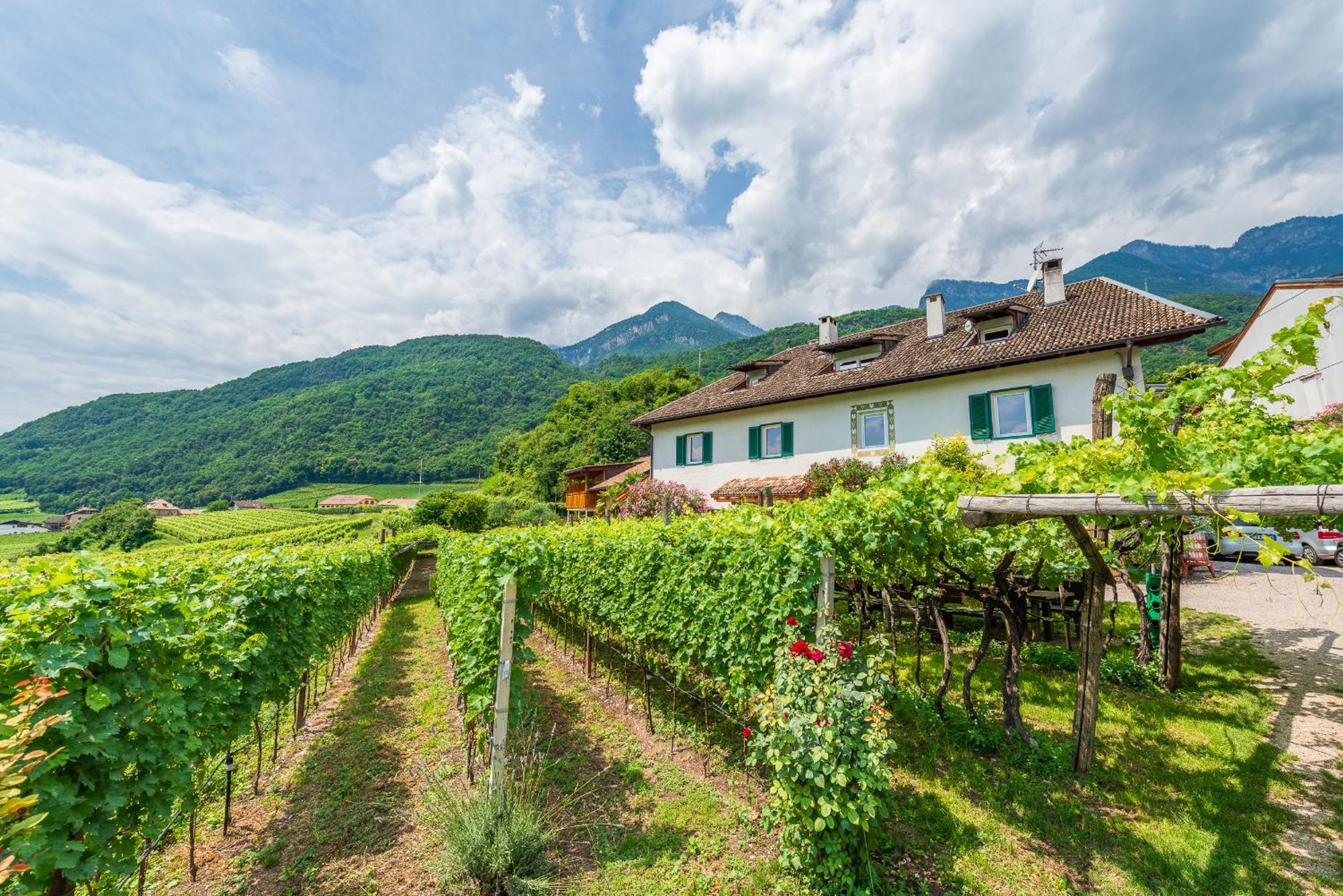 Weinhof Am See Caldaro Esterno foto